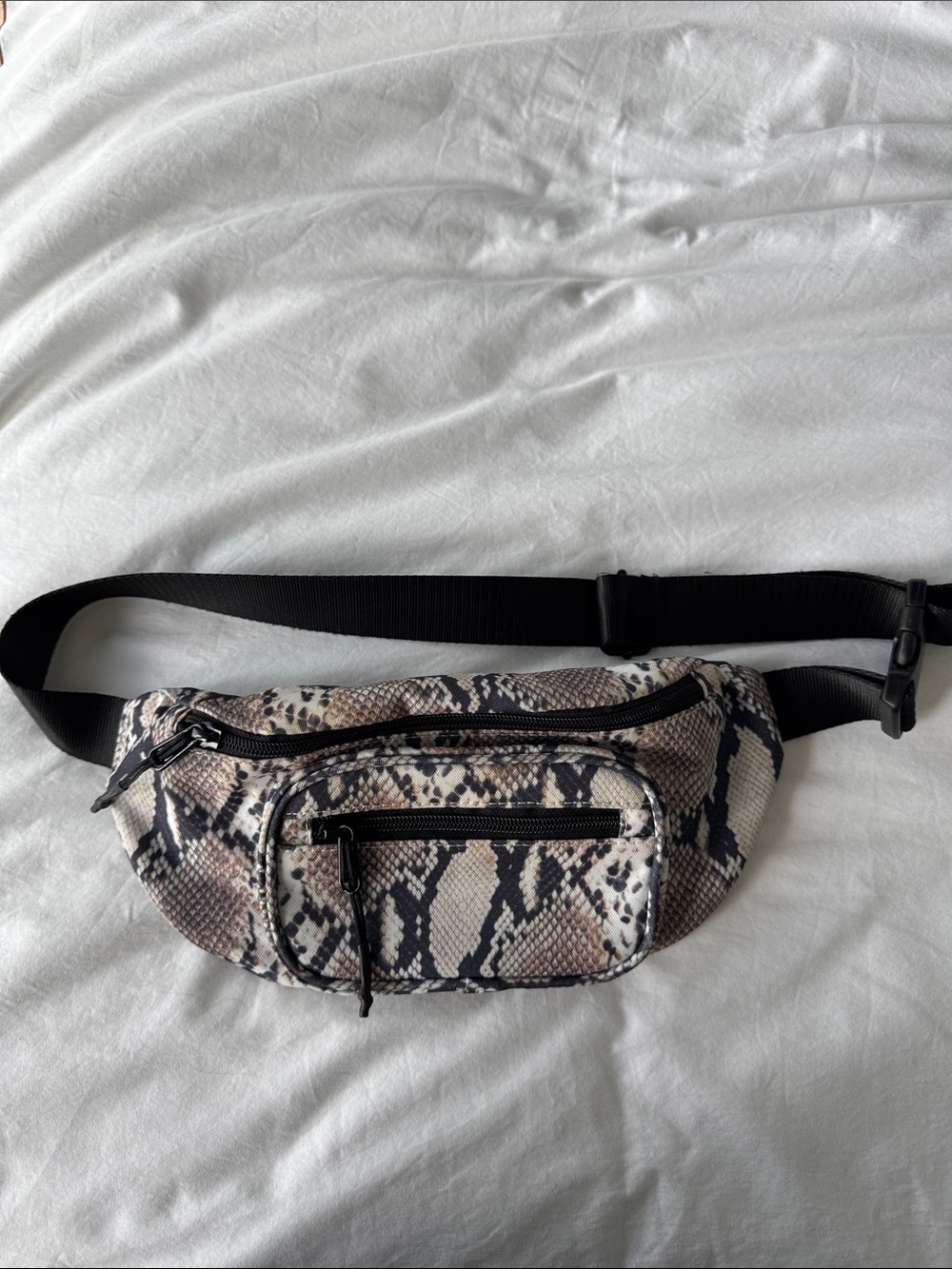 Aritzia bag